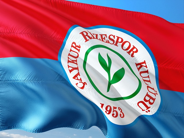 在大城市的 在大城市的