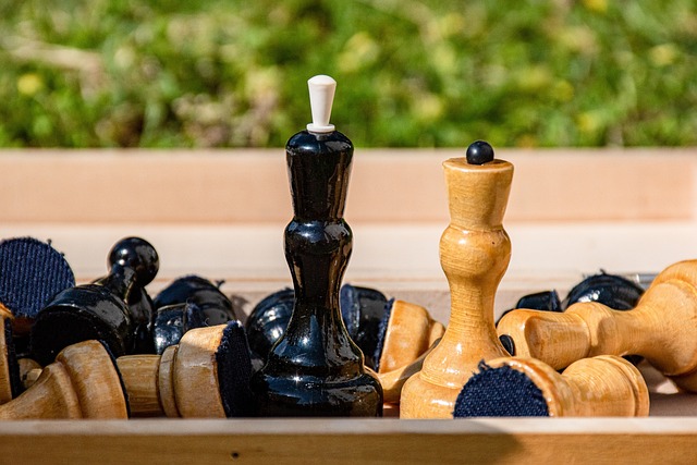 为今后政策 为今后政策