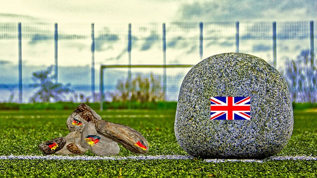 与球队未来 与球队未来