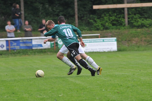 的身体状态 的身体状态