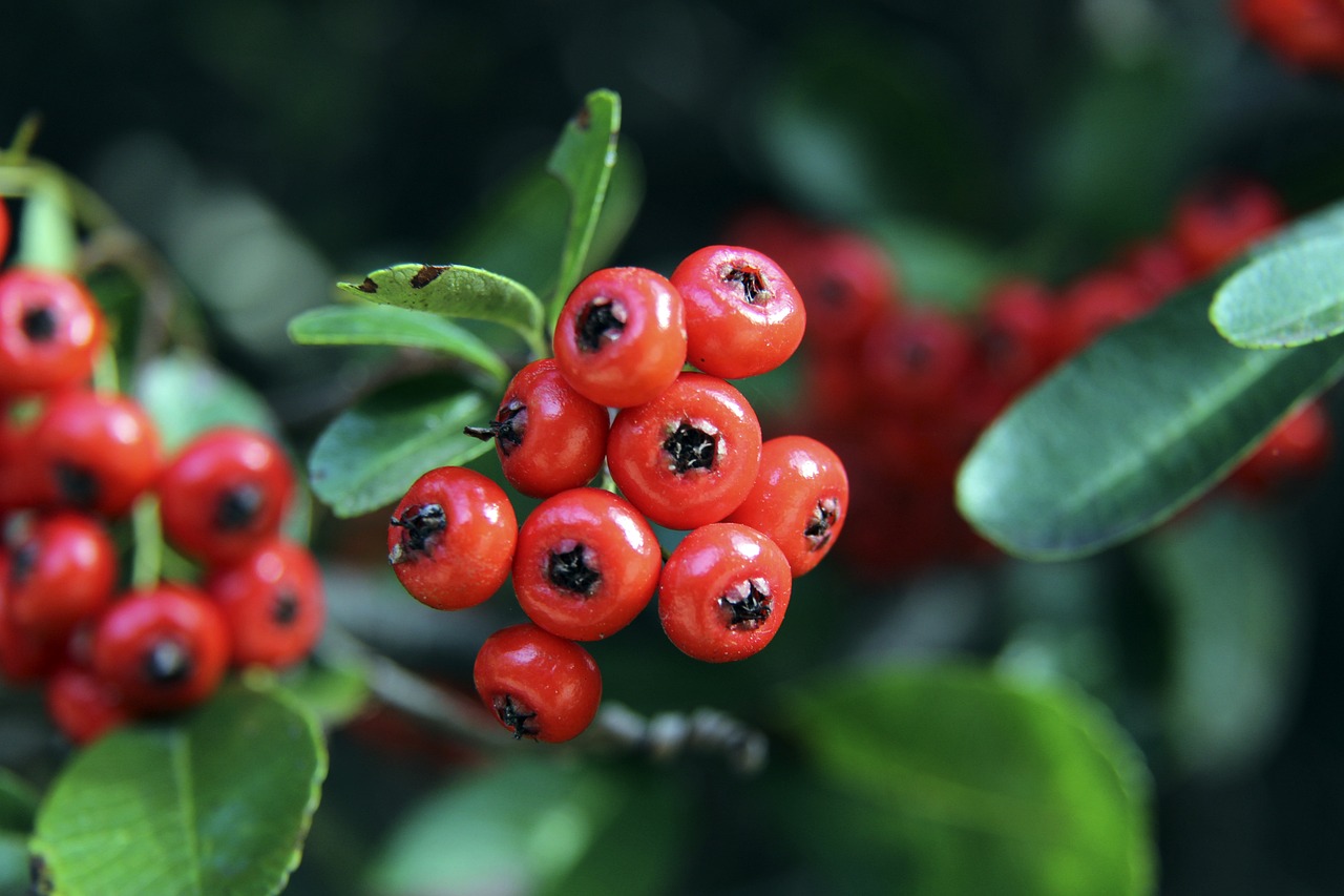 与人情关怀 与人情关怀