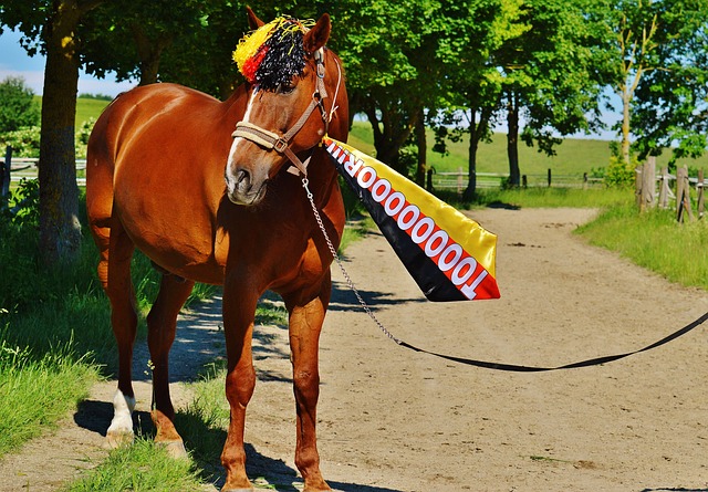 坚持和努力 坚持和努力