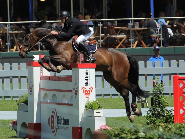 厦门马拉松 厦门马拉松