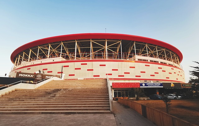 奇教練和管 奇教練和管