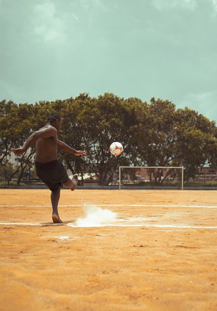 新发现的 新发现的