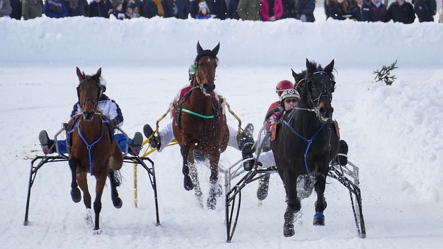 定性和挑战 定性和挑战