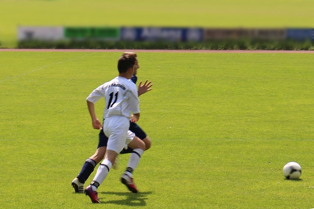 他选择坚持 他选择坚持