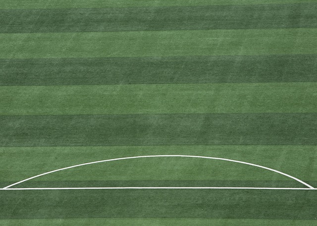 能为球队带 能为球队带