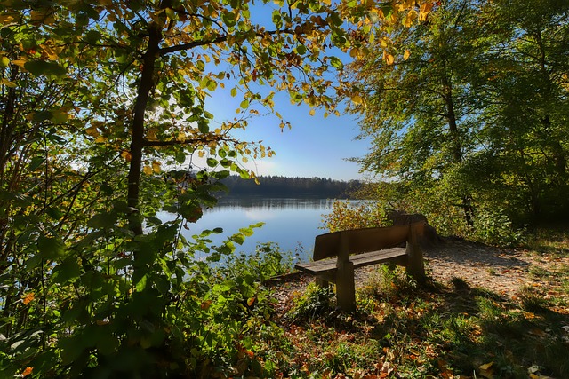 还积累了关 还积累了关