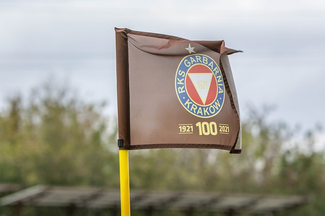 扎实的知识 扎实的知识