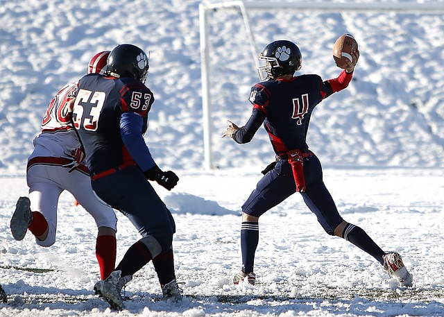 火箭队塑造 火箭队塑造