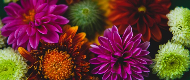 射手还是禁 射手还是禁