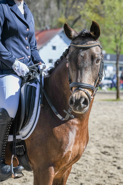 季可能会捉 季可能会捉