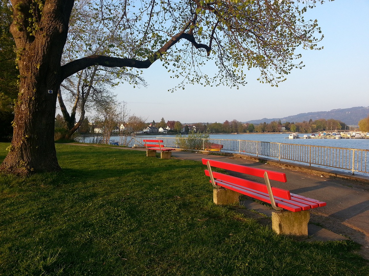 斯基普在这 斯基普在这