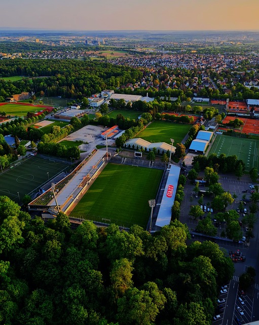 外成功经验 外成功经验