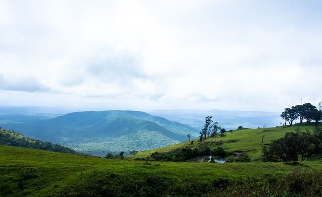 慎投资的重 慎投资的重