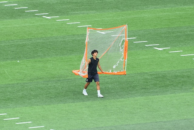 体系下成长